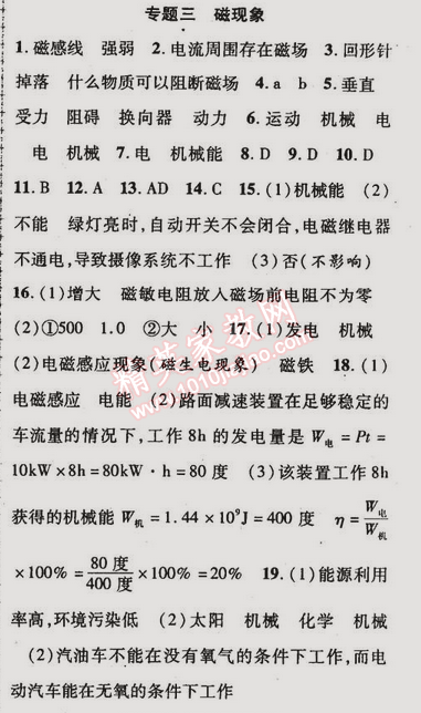 2015年金榜行動(dòng)九年級(jí)物理下冊(cè)人教版 專(zhuān)題三