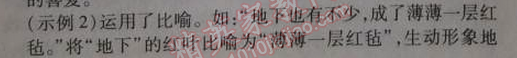 2014年5年中考3年模拟初中语文七年级上册北师大版 单元检测