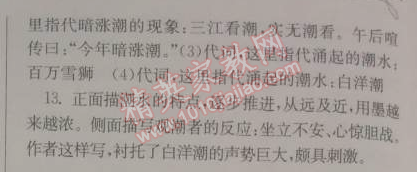 长江作业本同步练习册八年级语文下册鄂教版 23