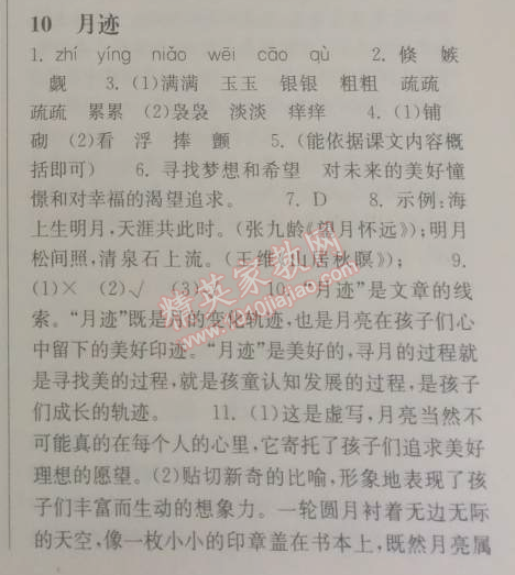 长江作业本同步练习册八年级语文下册鄂教版 10