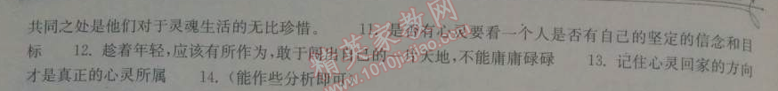 2014年長江作業(yè)本同步練習冊九年級語文下冊鄂教版 15、人的高貴在于靈魂  （周國平）