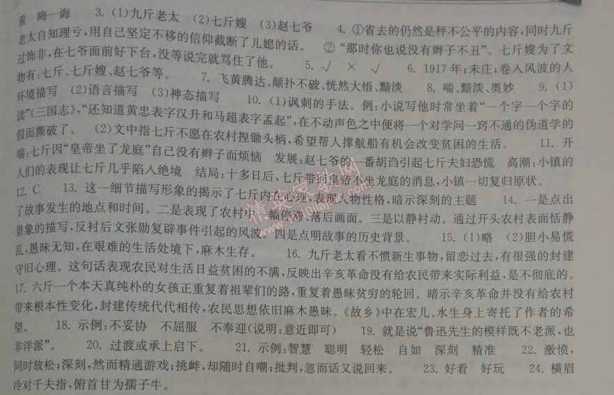 2014年长江作业本同步练习册九年级语文下册鄂教版 17、风波  （鲁迅）