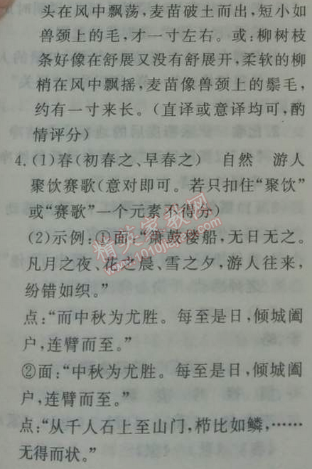 2014年鐘書金牌新教材全練九年級(jí)語(yǔ)文下冊(cè)滬教版 *18、登泰山記  （姚鼐）