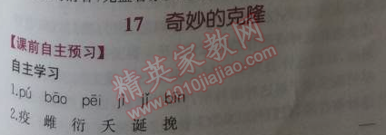 2014年同步導(dǎo)學(xué)案課時練八年級語文上冊人教版 0