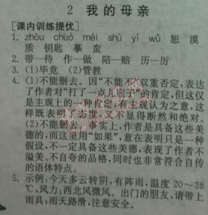 2014年實(shí)驗(yàn)班提優(yōu)訓(xùn)練八年級(jí)語(yǔ)文下冊(cè)人教版 2、我的母親（胡適）