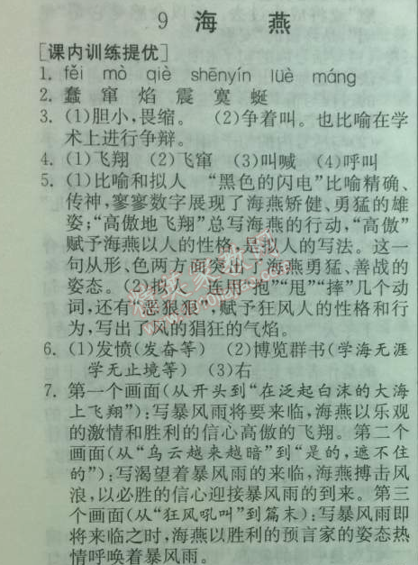 2014年實驗班提優(yōu)訓(xùn)練八年級語文下冊人教版 9、海燕（高爾基）