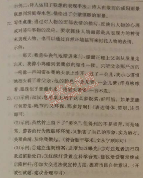 2014年1加1轻巧夺冠优化训练九年级语文上册人教版银版 4、外国诗两首