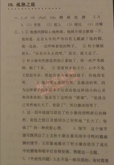 2014年人教金学典同步解析与测评九年级语文上册人教版 10. 孤独之旅(曹文轩)