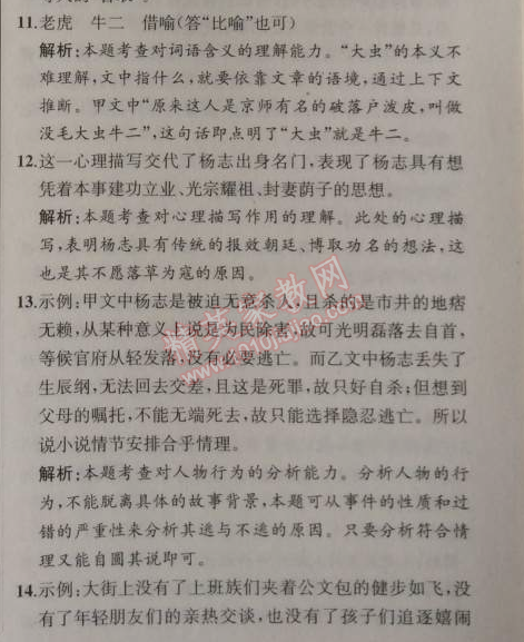 2014年同步导学案课时练九年级语文上册人教版河北专版 17、智取生辰纲（施耐庵）