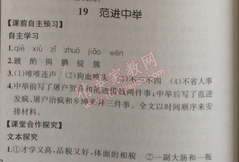 2014年同步導(dǎo)學(xué)案課時練九年級語文上冊人教版河北專版 19、范進(jìn)中舉（吳敬梓）