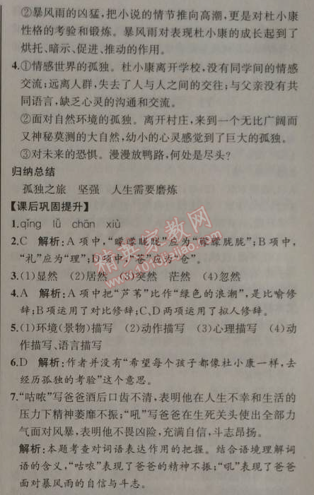 2014年同步導學案課時練九年級語文上冊人教版河北專版 10、孤獨之旅（曹文軒）