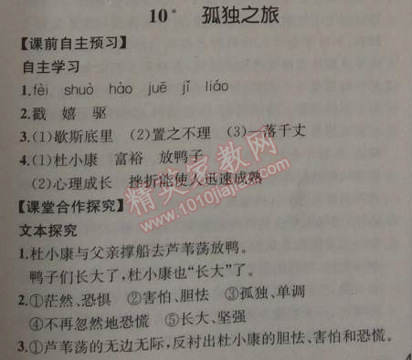 2014年同步導學案課時練九年級語文上冊人教版河北專版 10、孤獨之旅（曹文軒）