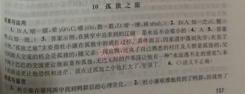 2014年學(xué)習(xí)與評價九年級語文上冊人教版 10、孤獨之旅（曹文軒）