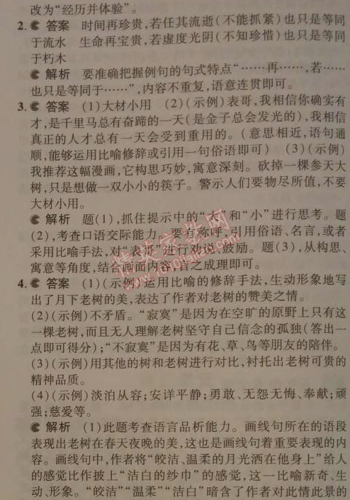 2014年5年中考3年模拟初中语文九年级下册人教版 10、那树（王鼎钧）