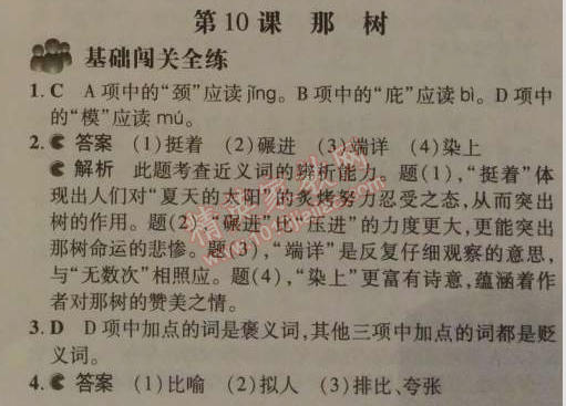 2014年5年中考3年模拟初中语文九年级下册人教版 10、那树（王鼎钧）