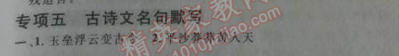 2014年綜合應(yīng)用創(chuàng)新題典中點(diǎn)九年級(jí)語(yǔ)文下冊(cè)人教版 專項(xiàng)訓(xùn)練五