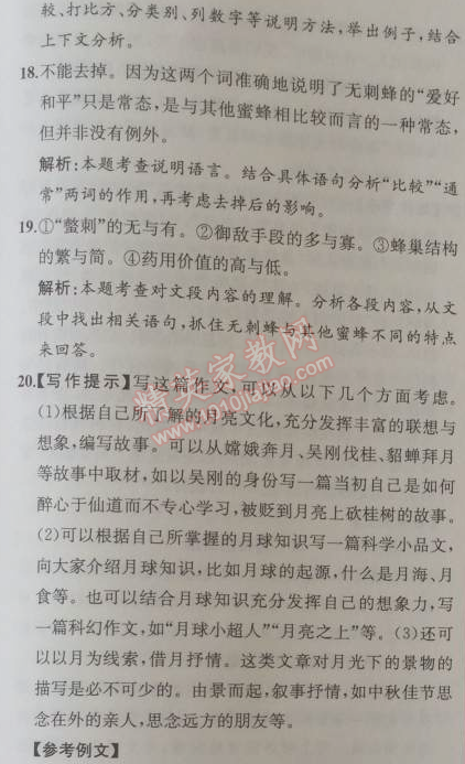 2014年同步导学案课时练七年级语文上册人教版 阶段检测卷五