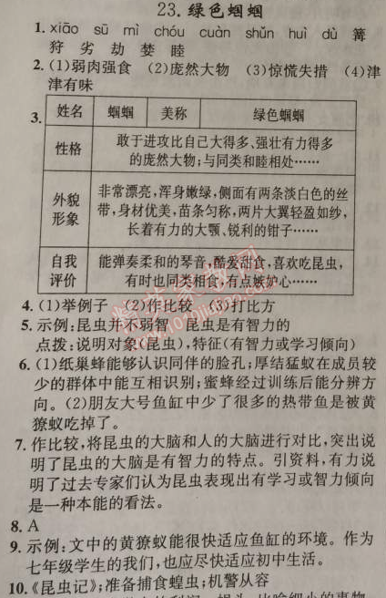 2014年原創(chuàng)新課堂七年級語文上冊人教版 第23課