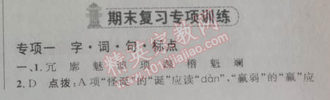 2014年綜合應(yīng)用創(chuàng)新題典中點(diǎn)七年級(jí)語(yǔ)文下冊(cè)人教版 期末復(fù)習(xí)專項(xiàng)訓(xùn)練