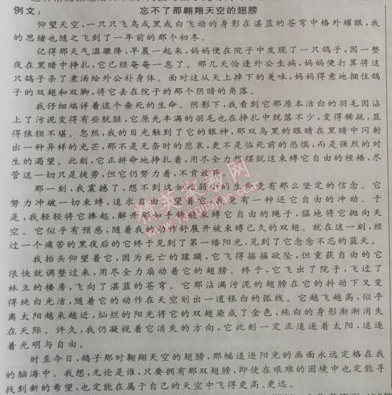 2014年綜合應(yīng)用創(chuàng)新題典中點(diǎn)七年級(jí)語(yǔ)文下冊(cè)人教版 期中檢測(cè)卷