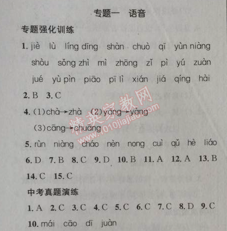 2014年给力100学年总复习七年级全年复习加假期预习语文人教版 专题一