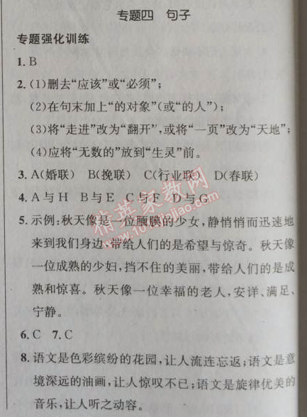 2014年给力100学年总复习七年级全年复习加假期预习语文人教版 专题四