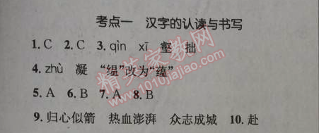 2014年给力100学年总复习七年级全年复习加假期预习语文人教版 考点一