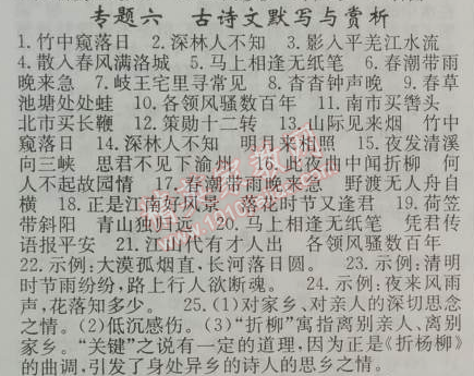 2014年期末暑假銜接快樂驛站假期作業(yè)七年級語文人教版 專題六