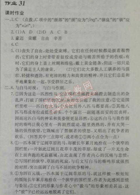 2014年啟東中學作業(yè)本七年級語文下冊人教版 作業(yè)31