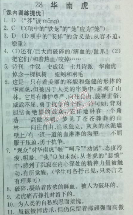 2014年實(shí)驗(yàn)班提優(yōu)訓(xùn)練七年級(jí)語(yǔ)文下冊(cè)人教版 28　華南虎 （牛漢）