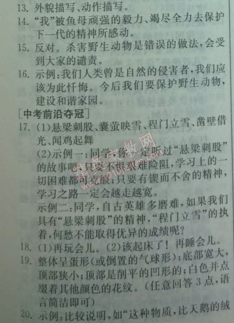 2014年實(shí)驗(yàn)班提優(yōu)訓(xùn)練七年級(jí)語(yǔ)文下冊(cè)人教版 27　斑羚飛渡 （沈石溪）