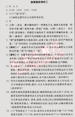 2015年全品学练考九年级语文下册苏教版 自我综合评价二