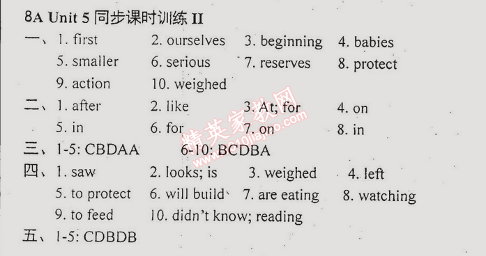 2014年時(shí)代新課程初中英語(yǔ)八年級(jí)上冊(cè) 二