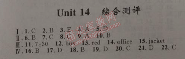 2014年初中同步測控優(yōu)化設(shè)計九年級英語全一冊人教版 14單元綜合評價