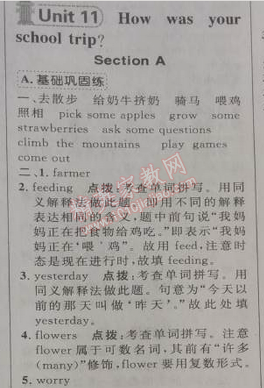 2014年綜合應(yīng)用創(chuàng)新題典中點七年級英語下冊人教版 11單元