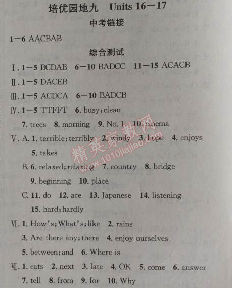 2014年给力100学年总复习七年级全年复习加假期预习英语人教版 培优园地九