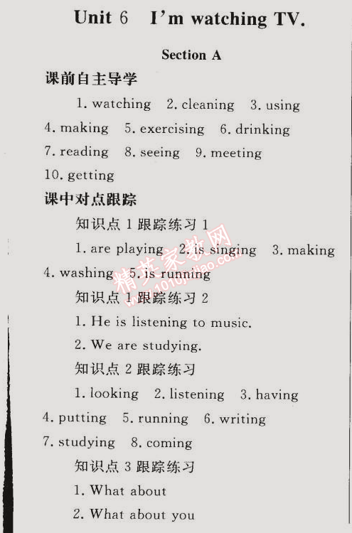 同步轻松练习七年级英语下册人教版 第6单元