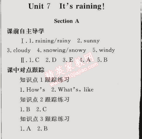 同步轻松练习七年级英语下册人教版 第7单元