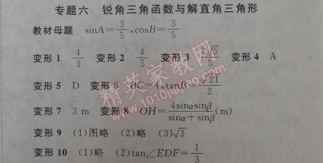 2014年全效學(xué)習(xí)九年級數(shù)學(xué)下冊人教版 專題六