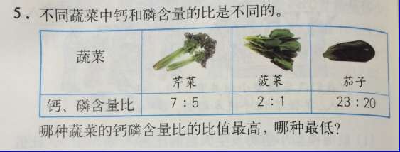 課本人教版六年級(jí)數(shù)學(xué)上冊(cè) 第233頁(yè)