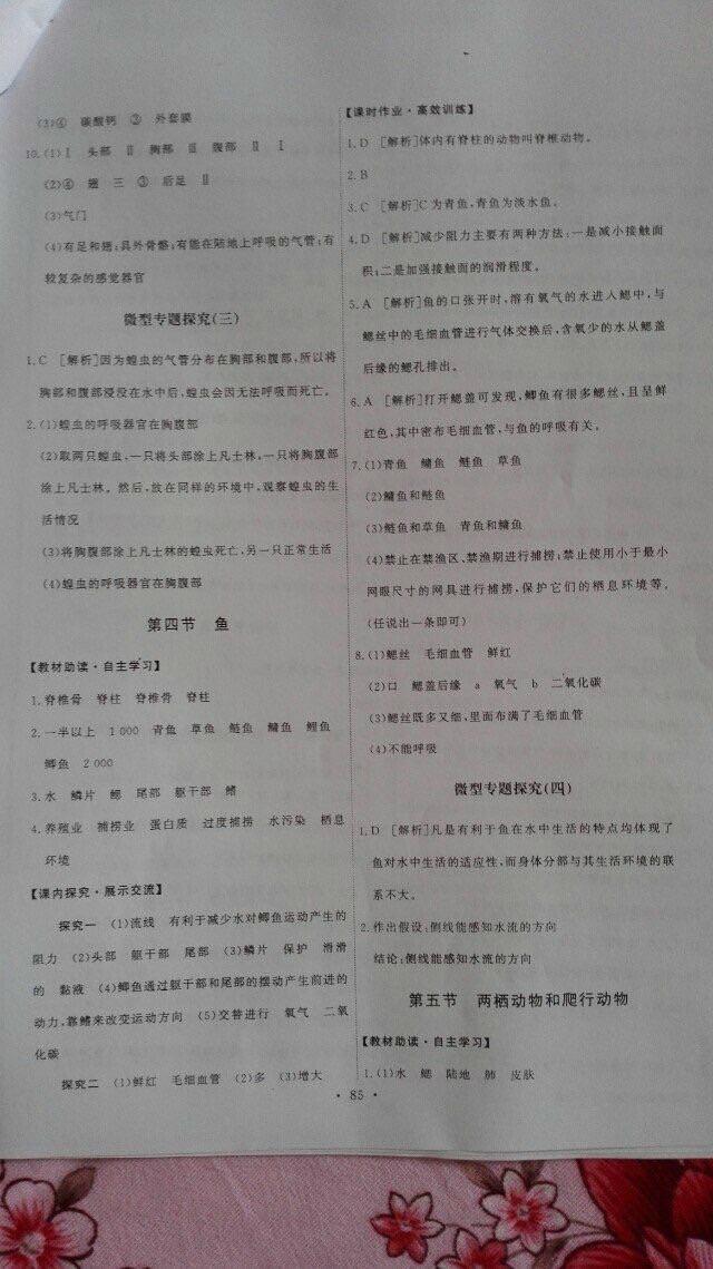 2015年能力培養(yǎng)與測(cè)試八年級(jí)生物學(xué)上冊(cè)人教版 第3頁(yè)