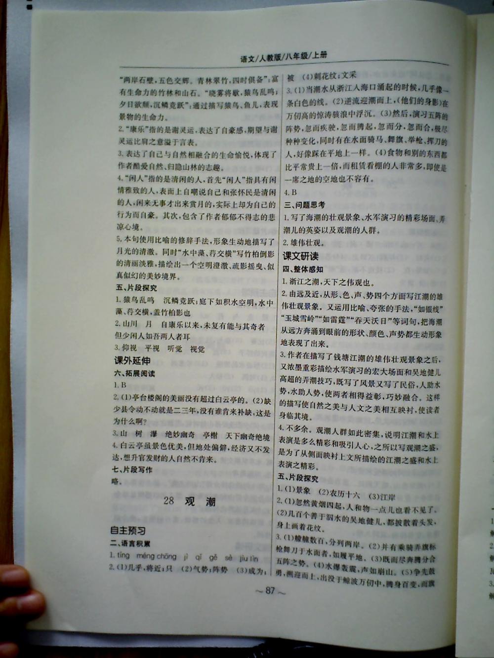 新編基礎(chǔ)訓(xùn)練八年級(jí)語(yǔ)文上冊(cè)人教版 第23頁(yè)