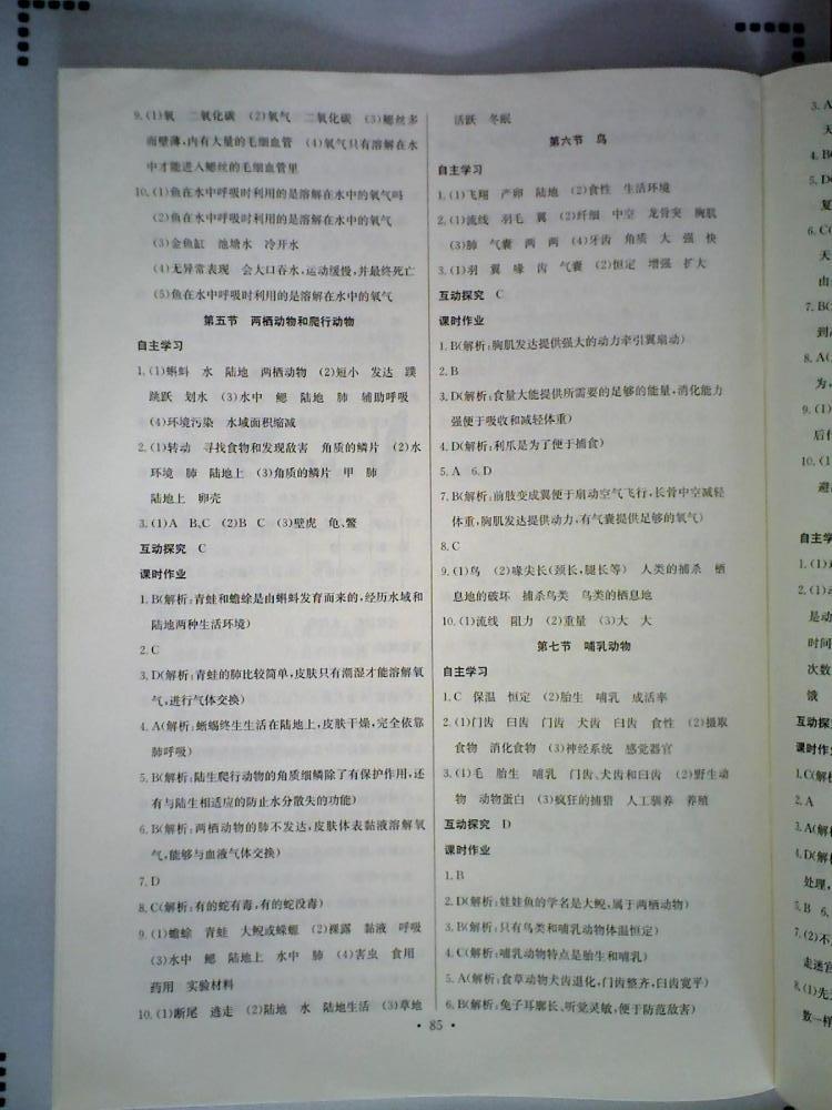 长江全能学案同步练习册八年级生物学上册人教版 第3页