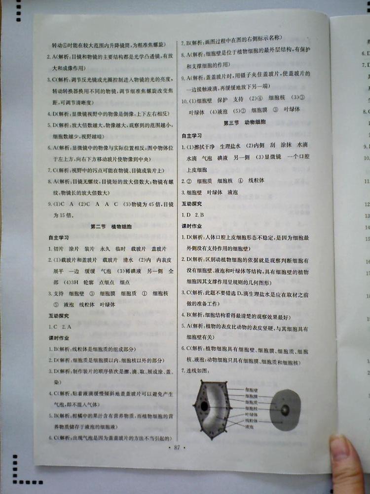 长江全能学案同步练习册七年级生物学上册人教版 第5页