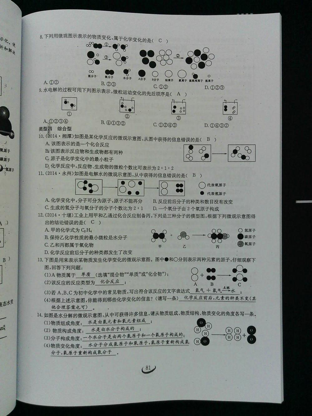 2015新觀察課時作業(yè)九年級化學上冊 第81頁