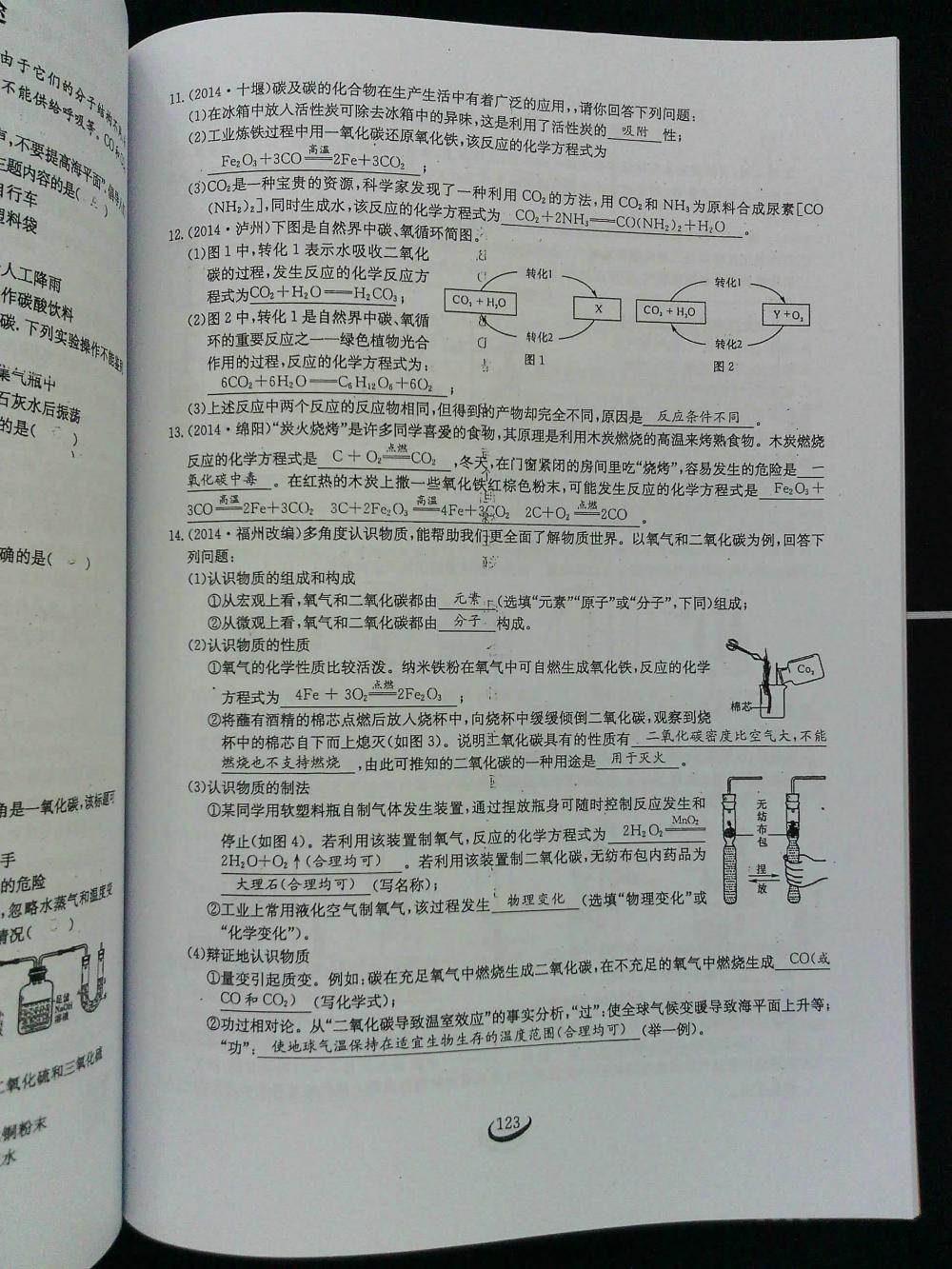 2015新觀察課時(shí)作業(yè)九年級(jí)化學(xué)上冊(cè) 第123頁(yè)