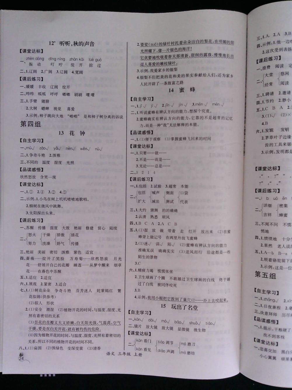 2015年同步导学案课时练三年级语文上册人教版河北专版 第4页