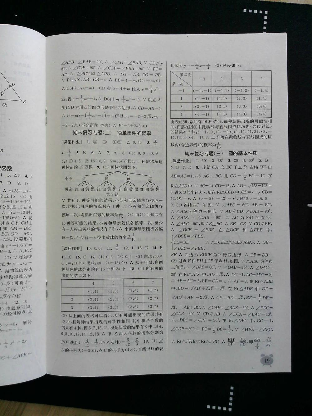 通城學典課時作業(yè)本九年級數(shù)學全一冊浙教版 第19頁