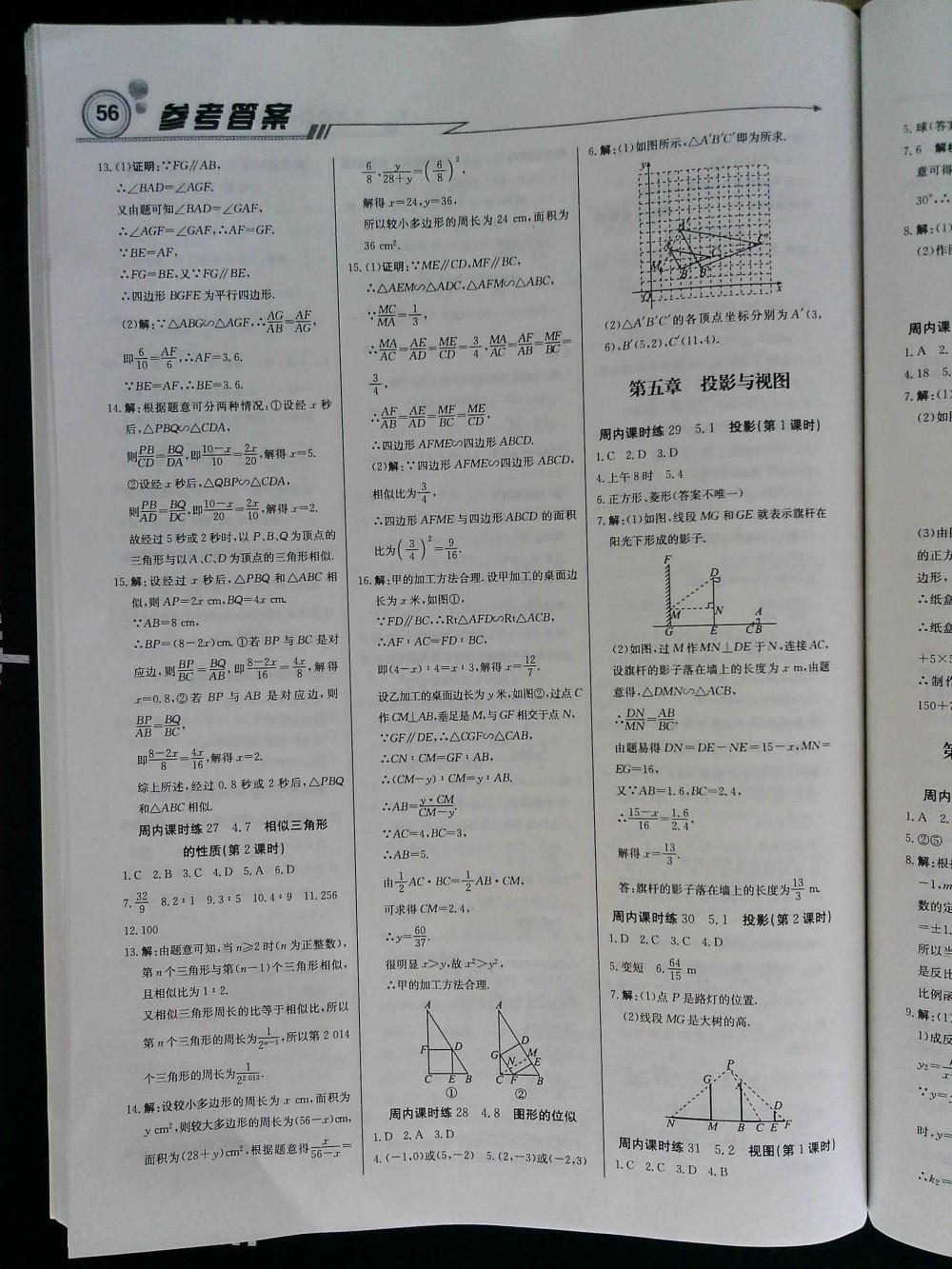 輕巧奪冠周測(cè)月考直通中考九年級(jí)數(shù)學(xué)上冊(cè)北師大版 第8頁(yè)