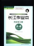 长江作业本同步练习册英语九年级下册人教版